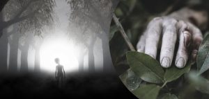 18_До чого сниться покійник живим_1