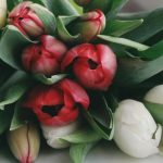 23_як зберігати тюльпани_1