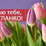 День ангела Світлани