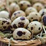 перепелині яйця — користь