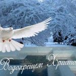 що кажуть на водохреща