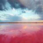 sivash-lake-crimea-5