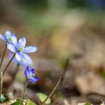 14_5 березня іменини_10