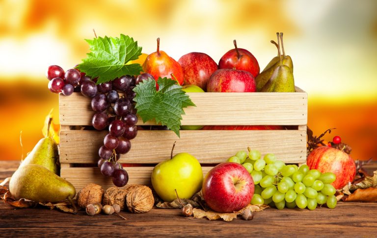 28_експорт сільськогосподарської продукції України_9