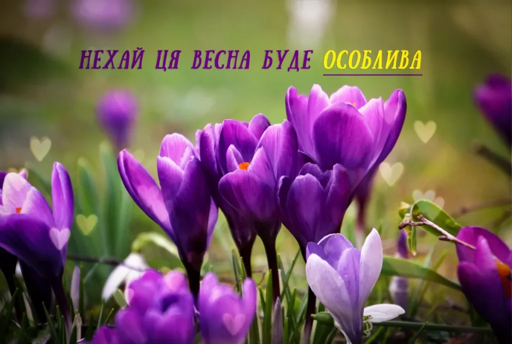 33_привітання з святом весни_3