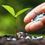 фосфорно калійні удобрення