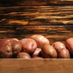 ранні сорти картоплі