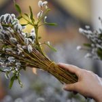 вербна неділя що можна робити