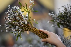 вербна неділя що можна робити