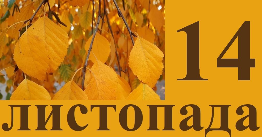 яке свято 14 листопада