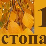 яке свято 14 листопада