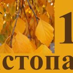 яке свято 15 листопада