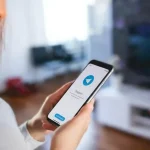Що садити біля кабачків для щедрого врожаю
