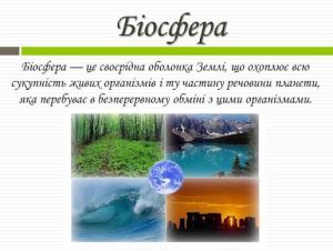 біосфера це