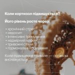 кортизол це