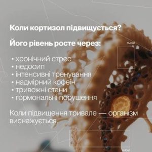кортизол це