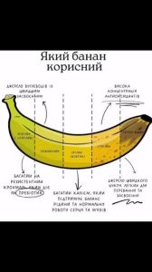 користь бананів