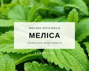 меліса лікувальні властивості