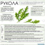 рукола це
