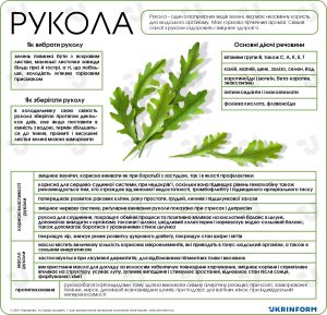 рукола це