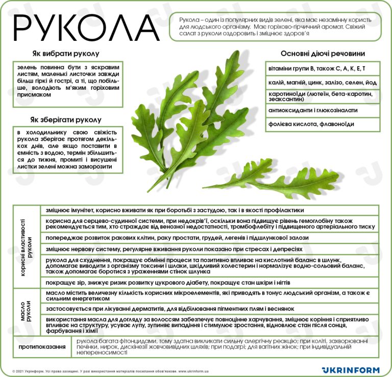 рукола це