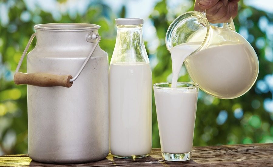 Pouring milk in the glass on the background of nature.