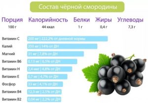смородина користь