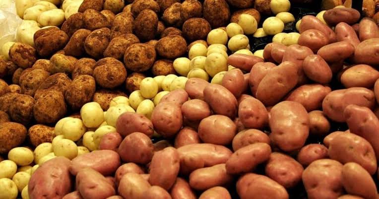 які найврожайніші сорти картоплі