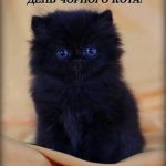день чорного кота