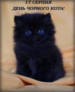 день чорного кота
