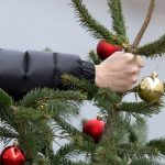 коли розбирають ялинку