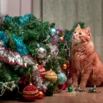 котячий новий рік