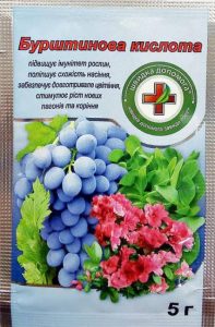 ть