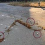 У передмісті Херсона Антонівці виявили чотири заміновані ділянки людей закликають не відвідувати «червону зону»